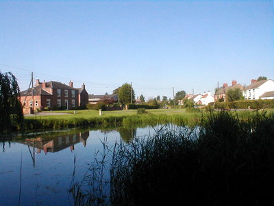 View from Ellerton pond