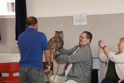 Owls in Ellerton