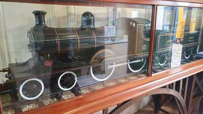 Cambrian Display