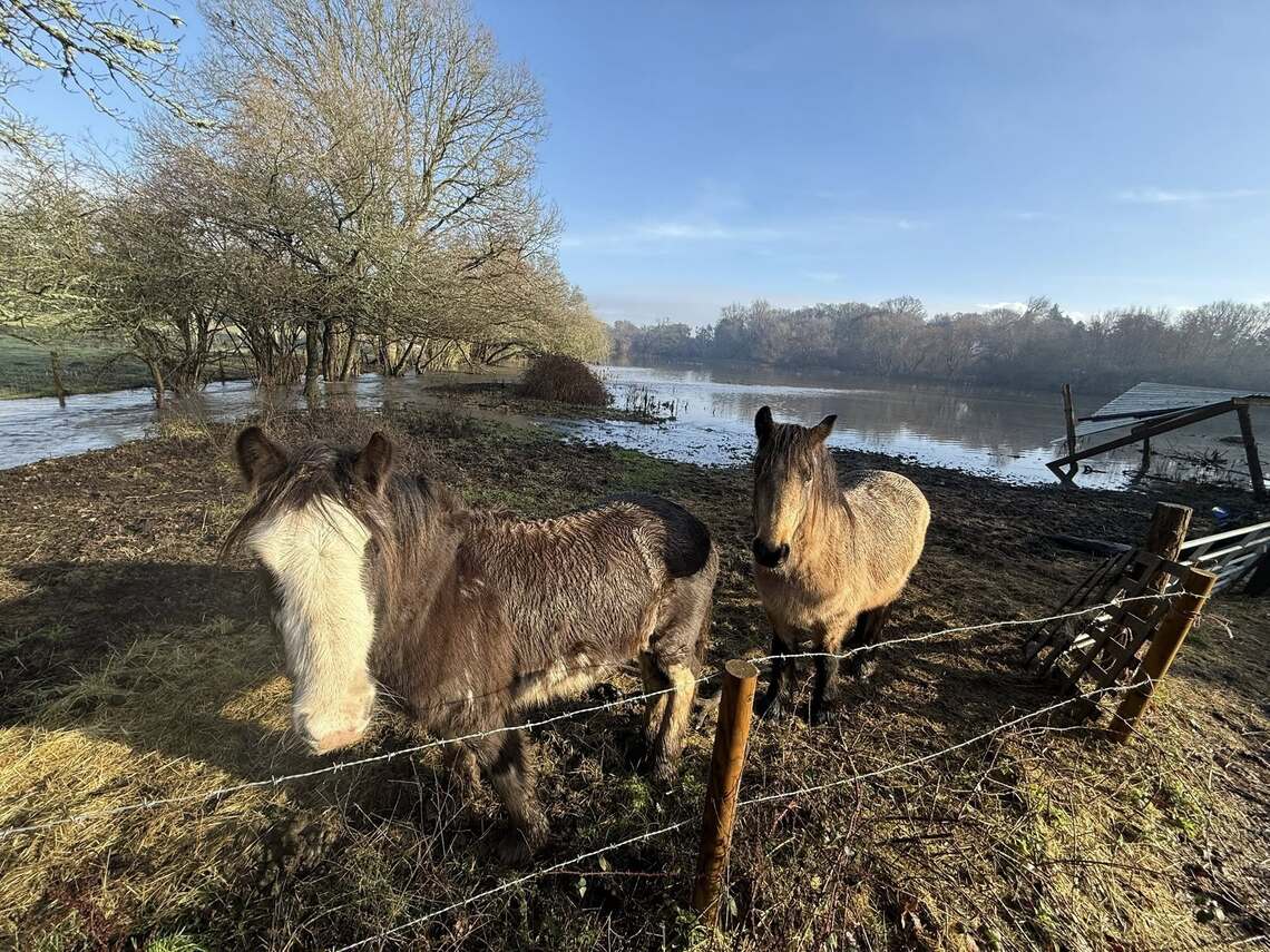 Bridge Field flooded