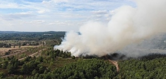 Hankley Fire July #1