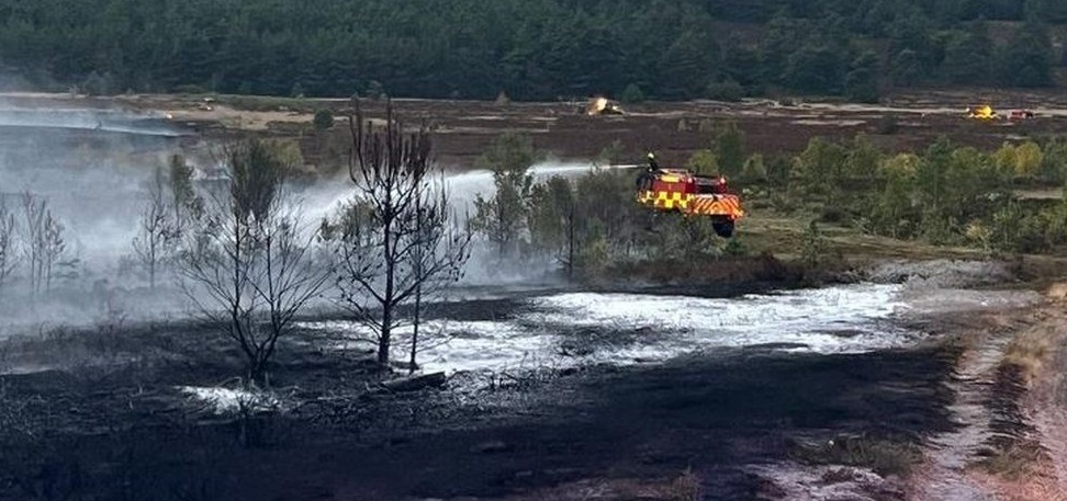 Hankley Fire July 22 #2