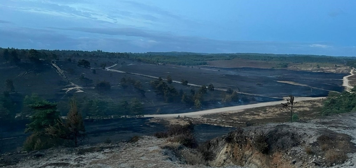 Hankley Fire July 22 #3.2