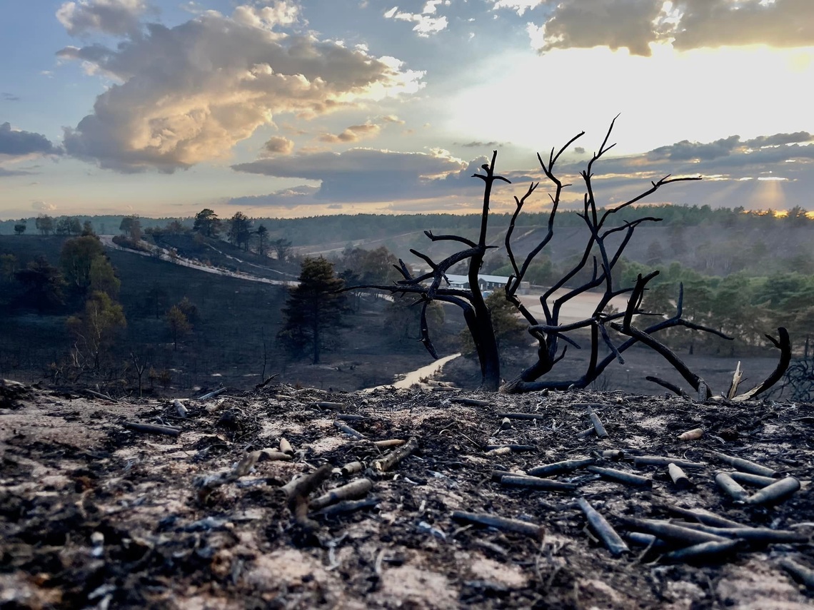 Hankley Fire July 22 #3.3