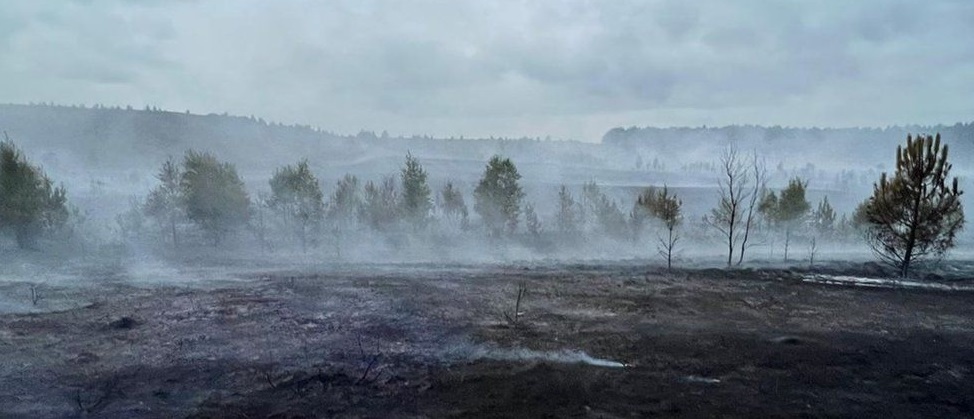 Hankley Fire July 22 #3.4