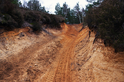 Hankley Common Road- Morgan Masters