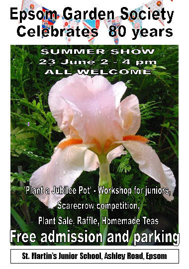 Summer Show 2012