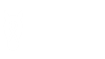Equestrians with Epilepsy