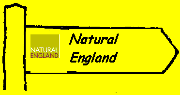 natural england