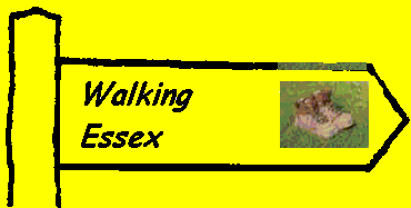 walking essex