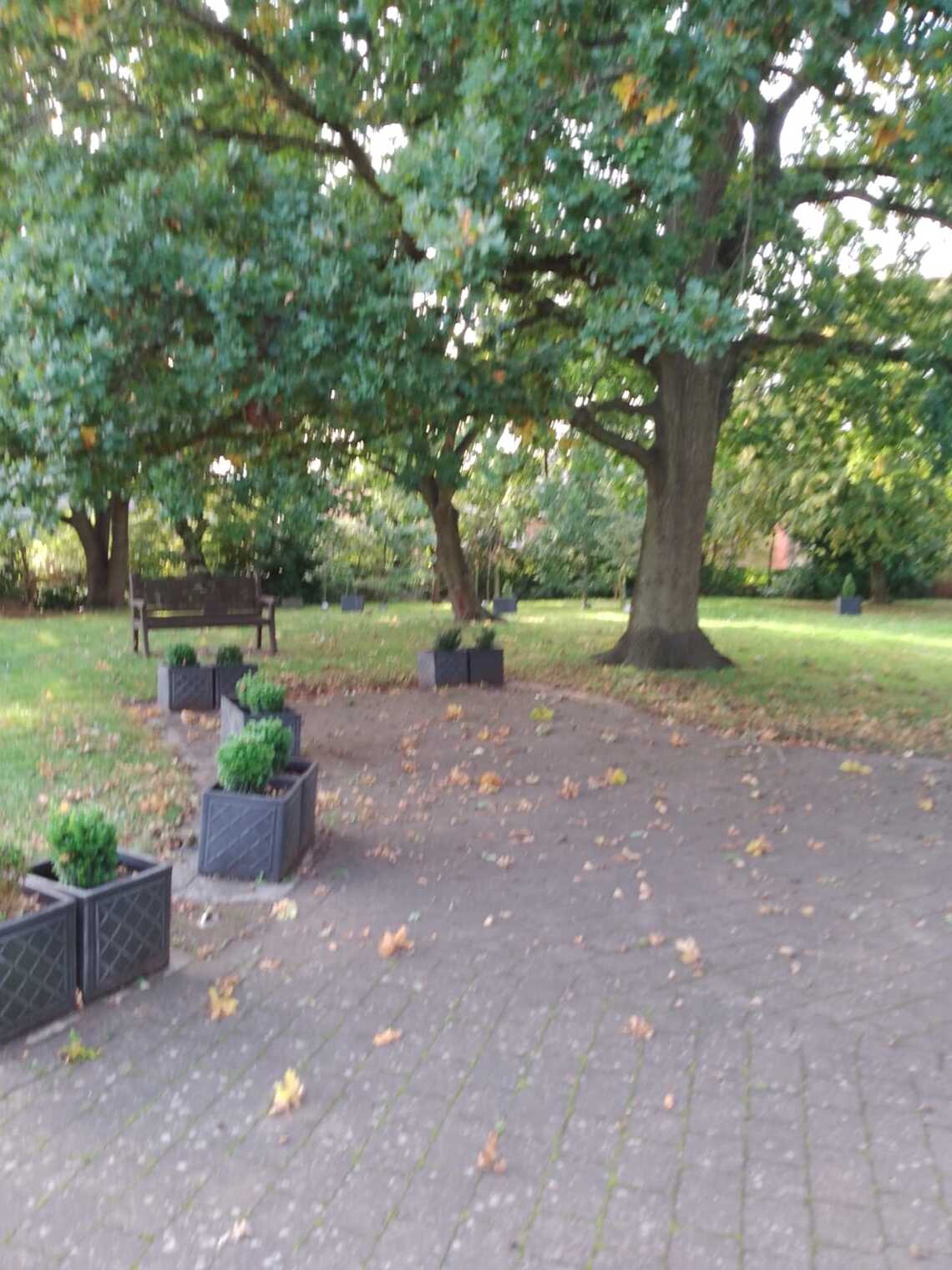 The illuminated path to the Chapel