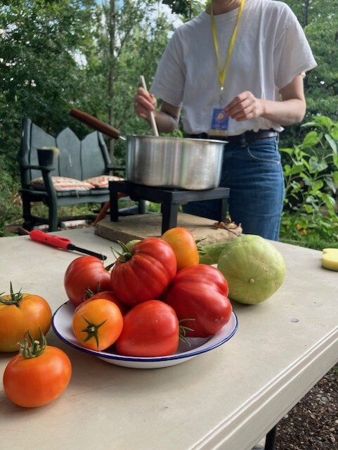 Large juicy tomatoes on an outside table. In the background someone is cooking on oa small outdoor stove