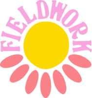 The Fieldwork Project CIC