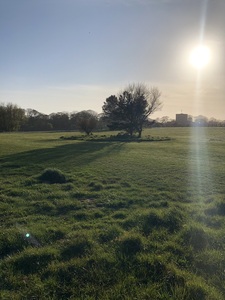 Filey Country Park
