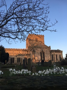 St Oswald's Snow Drops