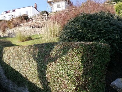 Terrace Gardens at the end of Queen Street above Coble Landing