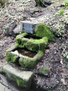 Narural Spring on Church Ravine