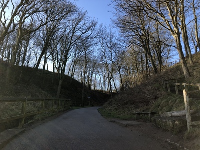 Martins Ravine