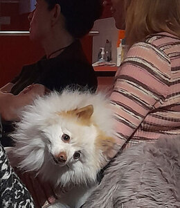 October: Tommy, a regular fan