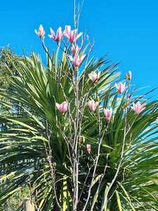 WhatsApp Image 2023-10-31 at 20.13.10