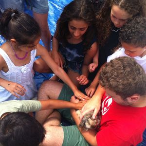 The small animal petting zoo was popular!