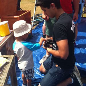 The small animal petting zoo was popular!