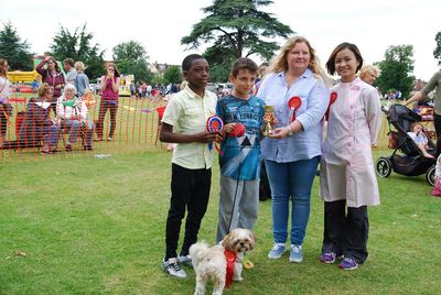 best in show and judges