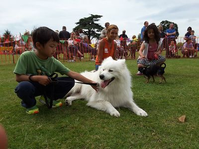 Murray Park Fun Day 2016