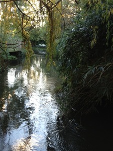Environs and River Crane