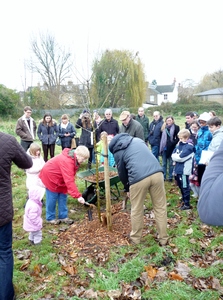 Inaugural Tree Planting Dec 3rd 2017