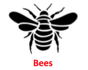 Bees.png