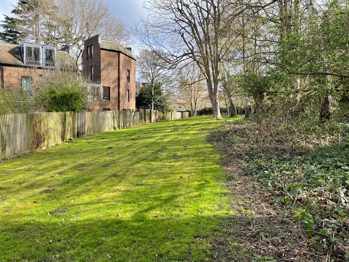 Amenity Land