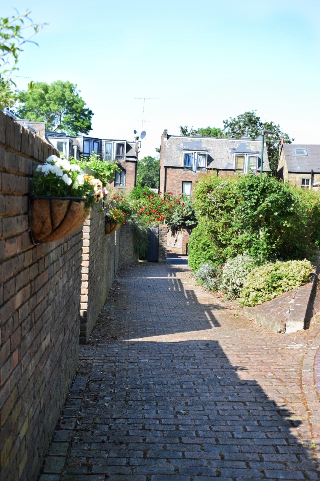 Hobart Place Walkway | Wildlife Corridor 5