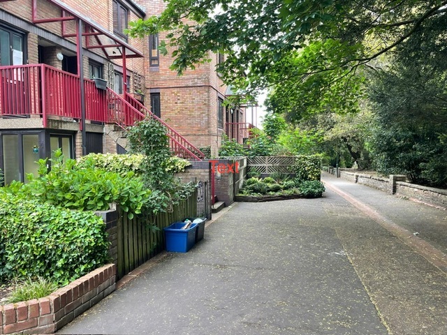 Phase 2 wildlife corner (3) Grove Gardens
