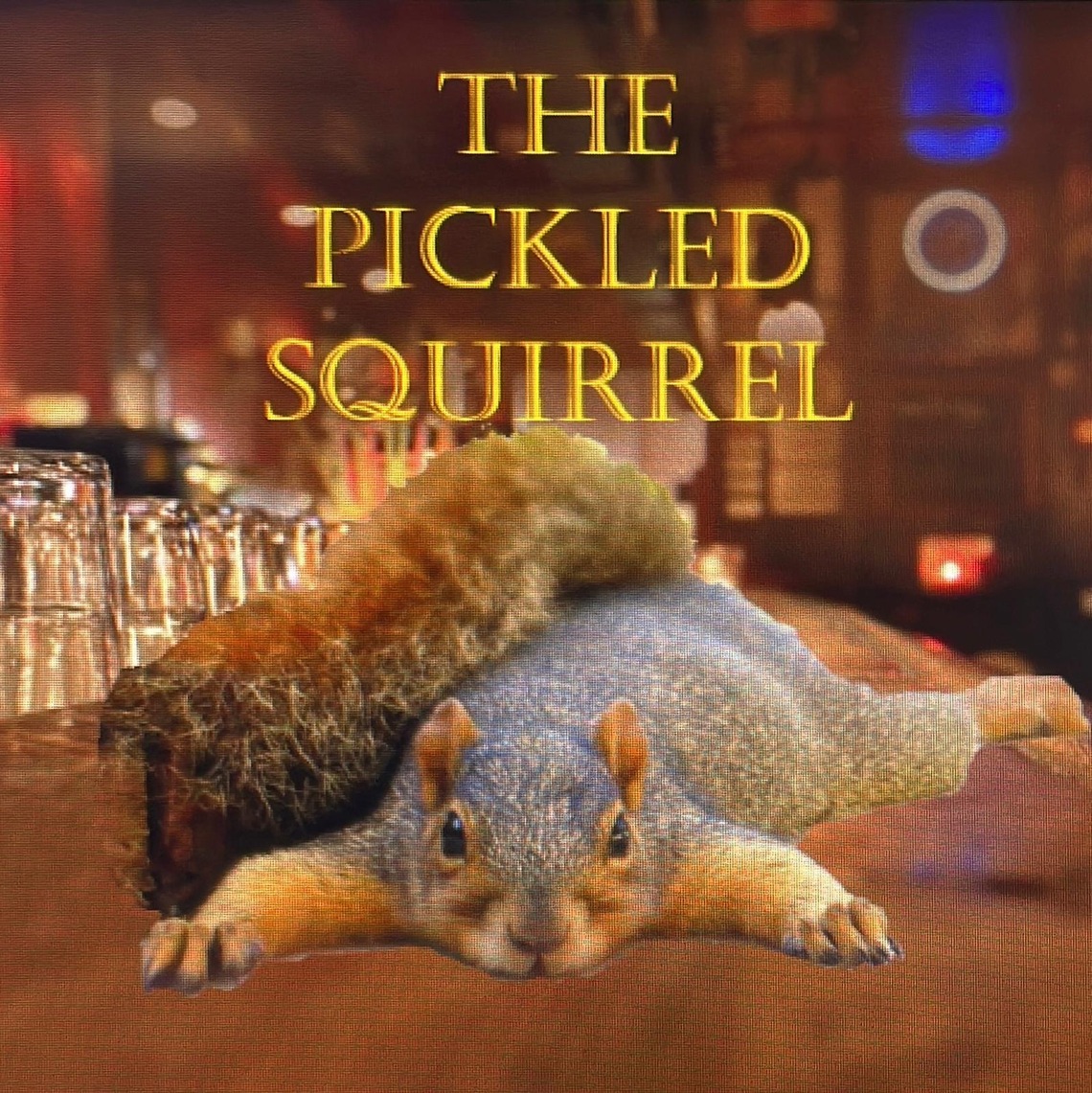 squirrel