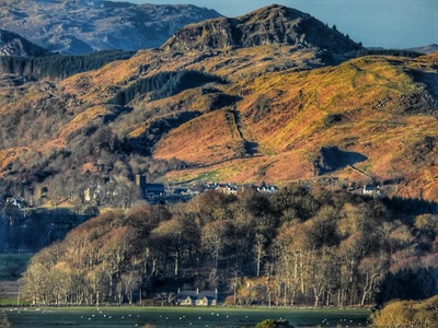 Images of Ford Village