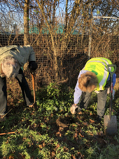 Hard at work planting the saplings