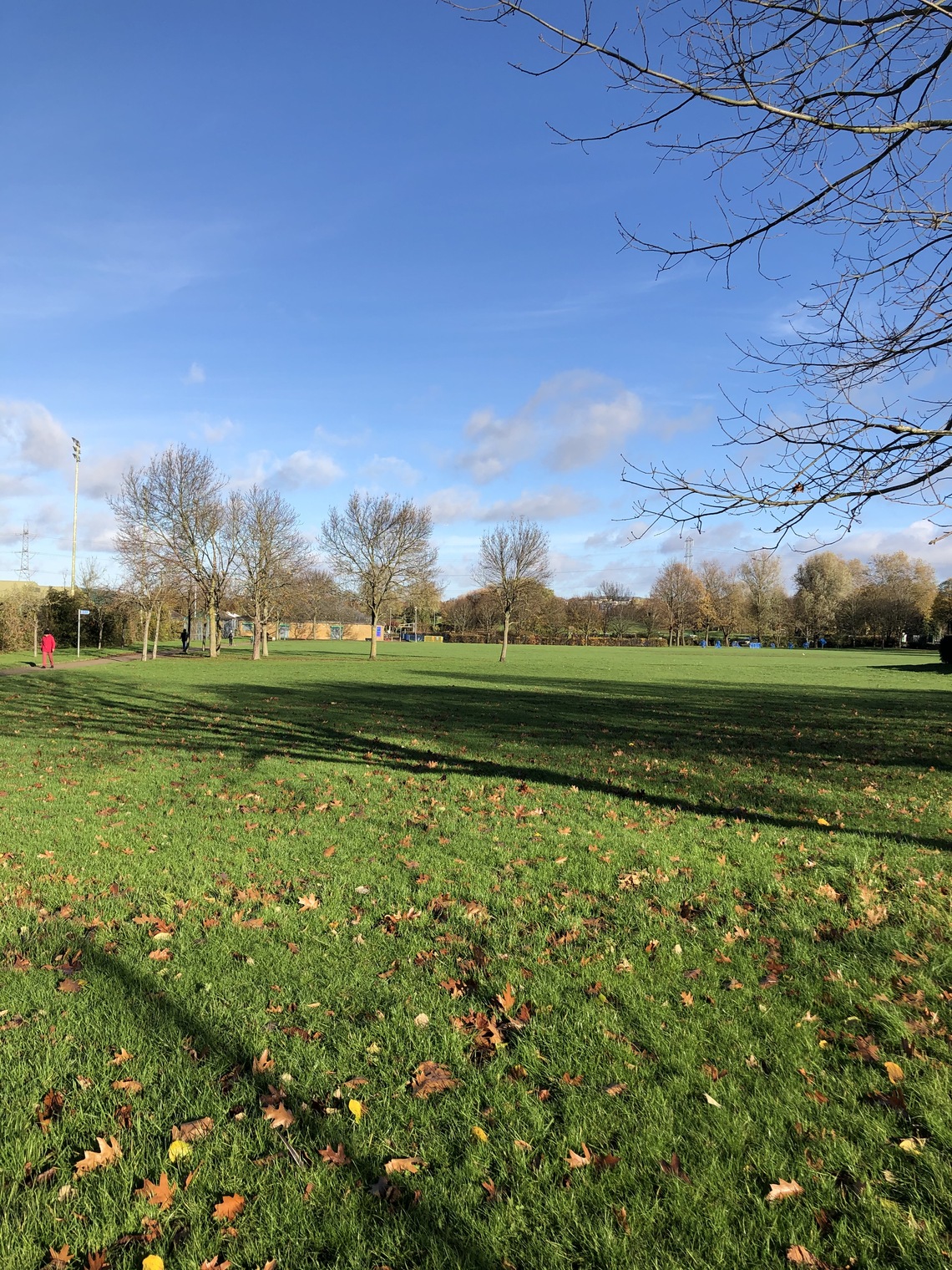 Rose Hill Park West Friends of Rose Hill Parks