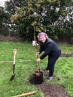 Ruth Dombey planting a tree