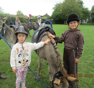 donkey rides donkey rides