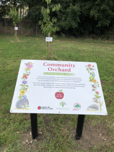 Community Orchard