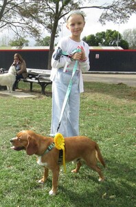 Dog show winner