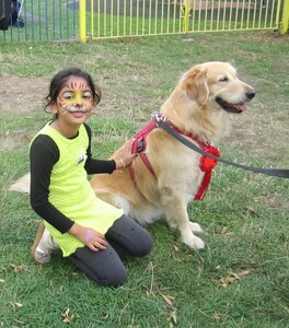 Dog Show