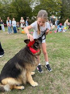 Dog Show