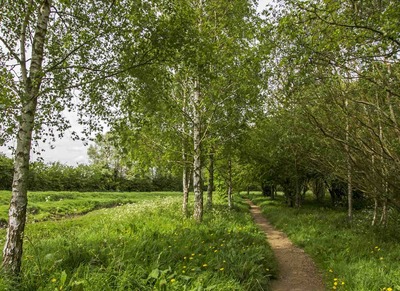 River Foss, New Earswick