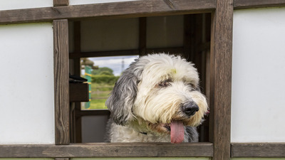 I'me the king of the castle!