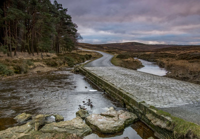 Rutmoor Beck