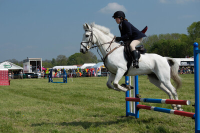 Show Jumping 2