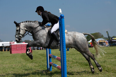 Show Jumping 3