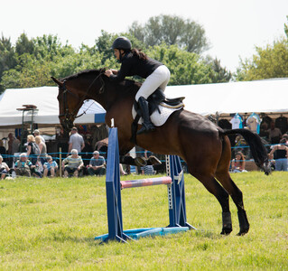 Show Jumping 4